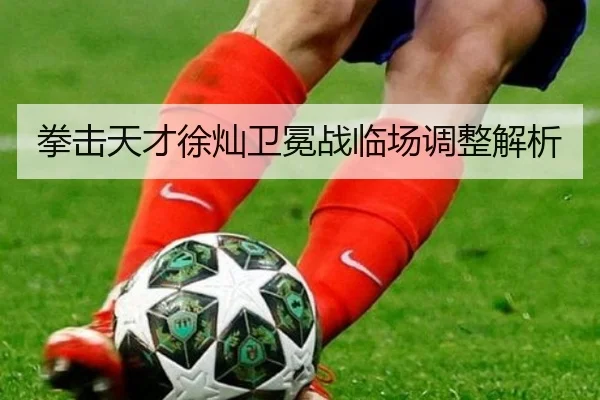 拳击天才徐灿卫冕战临场调整解析